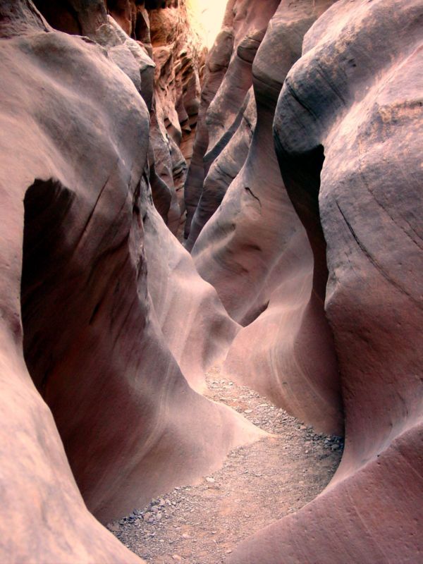 04160302LittleWildHorse (1071)